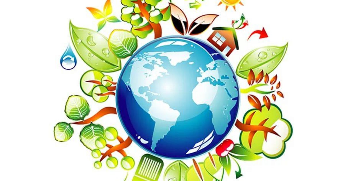 Формирование знаний об окружающем мире посредством сенсорных эталонов