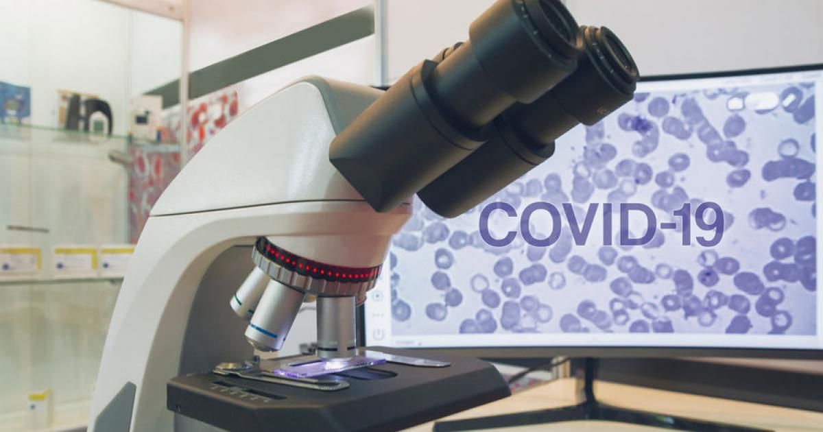 Реальная картина по COVID в школах России