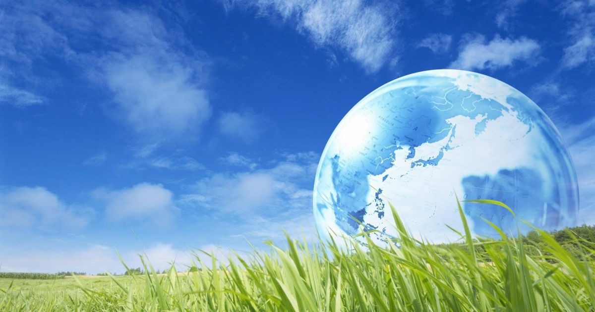 Формирование представлений об окружающем мире у младших классов с задержкой психического развития посредством дидактических игр