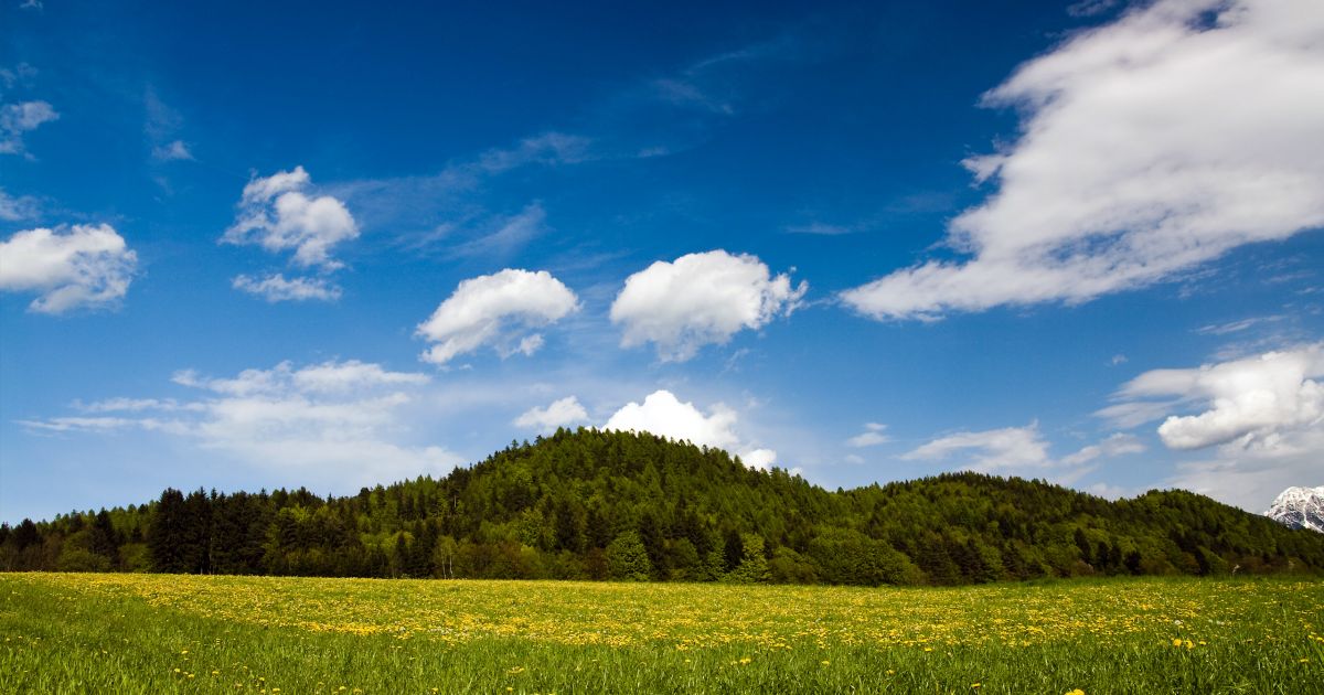 Воспитание любви к малой родине через занятия по природе