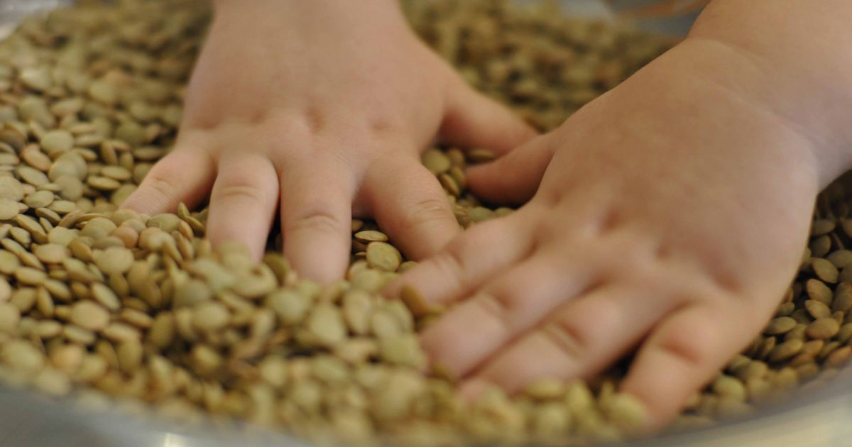 Пути развития и совершенствования мелкой моторики на уроках ручного труда у детей с РАС