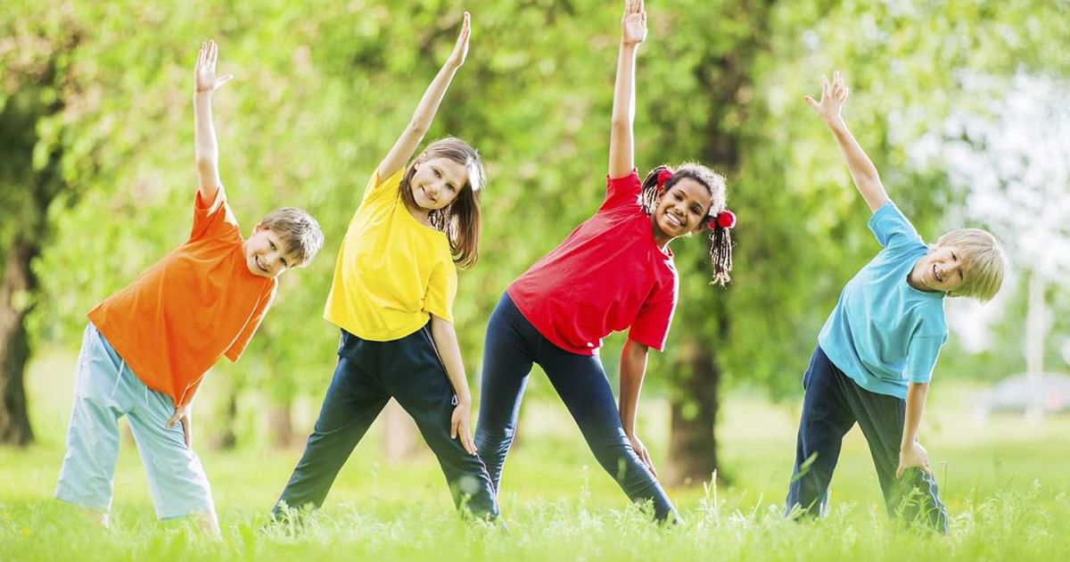 Современные спортивно-оздоровительные системы физических упражнений