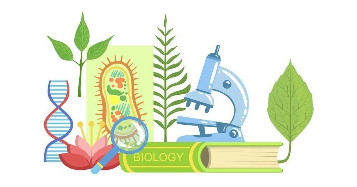 Экологическое воспитание на уроках биологии