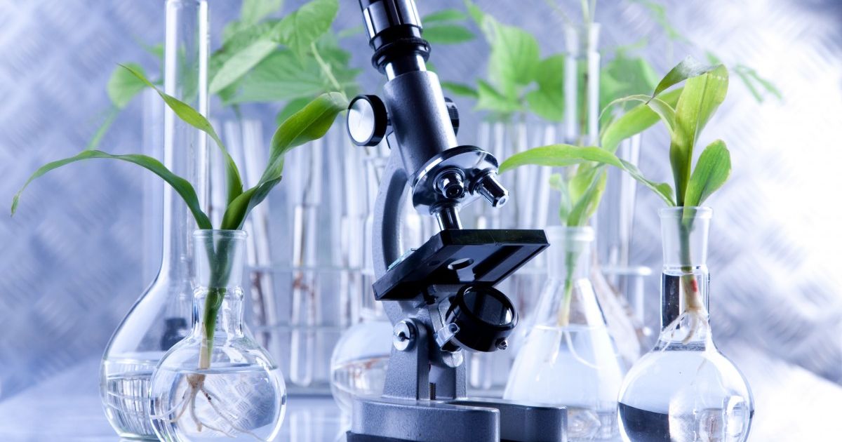 Формирование у обучающихся навыков soft skills при проведении внеурочных мероприятий по биологии в колледже