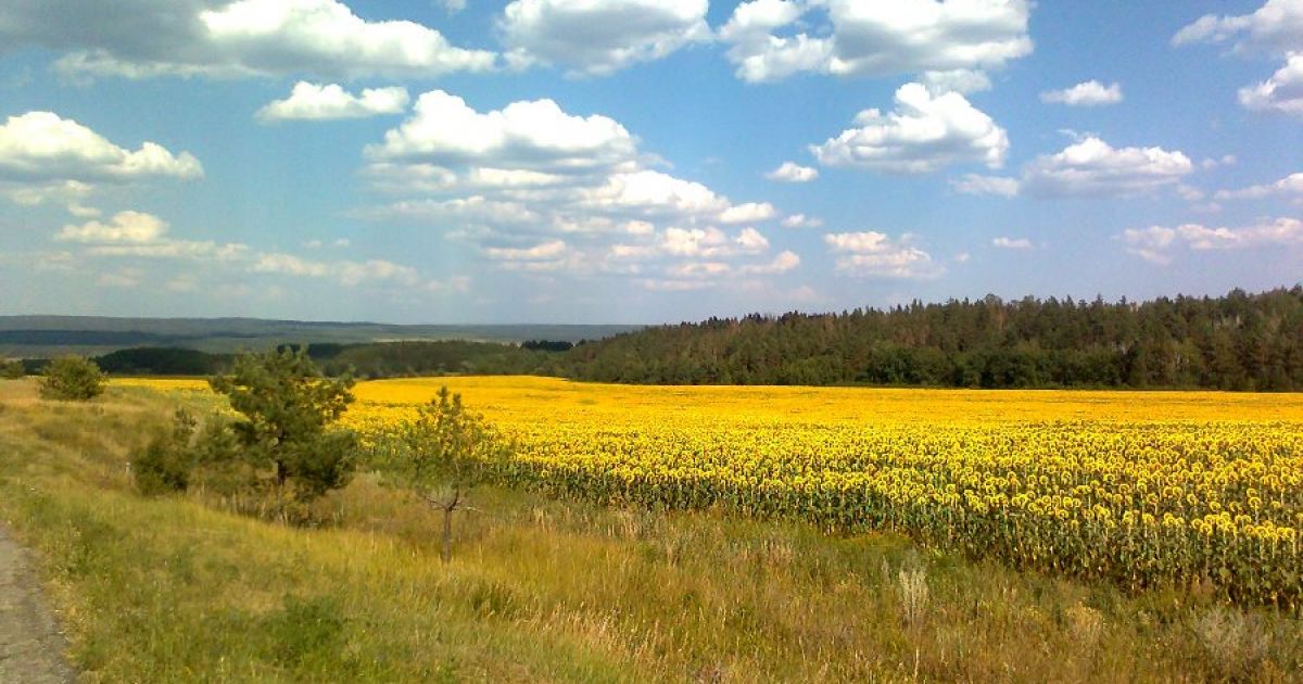 Формирование этнокультурной идентичности детей дошкольного возраста посредством использования краеведческого материала