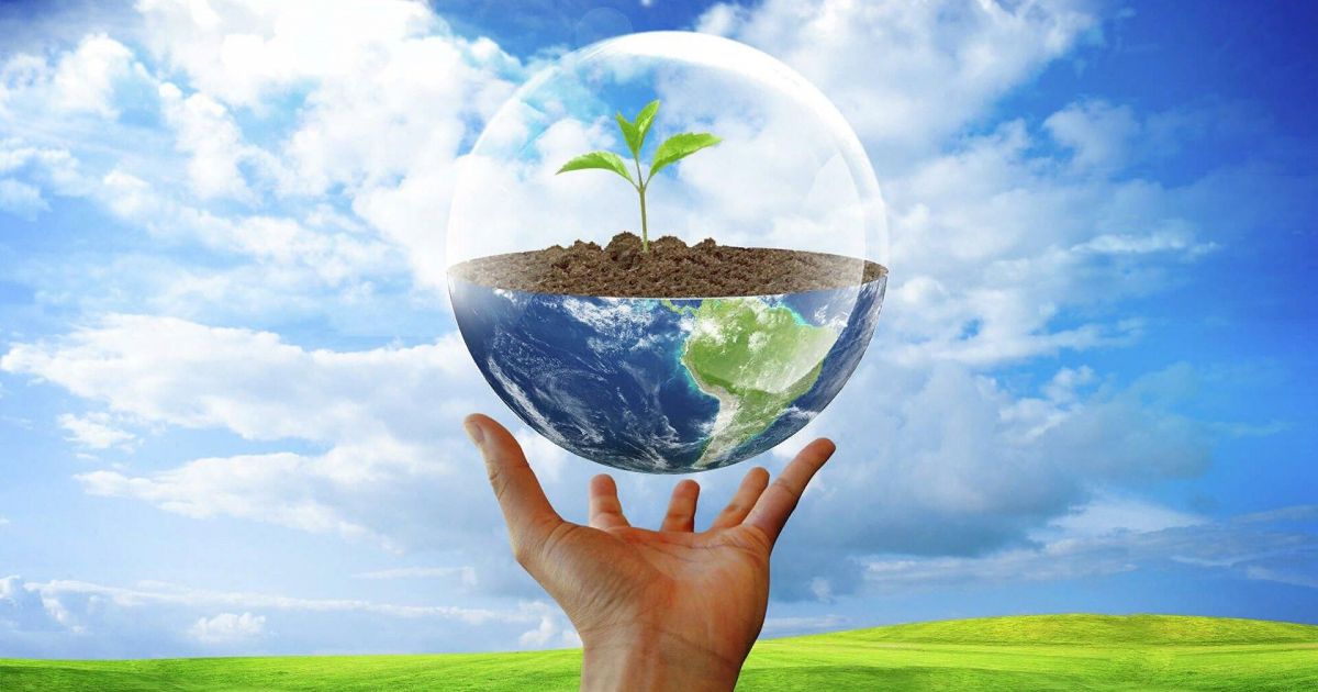 Формы и методы экологического воспитания