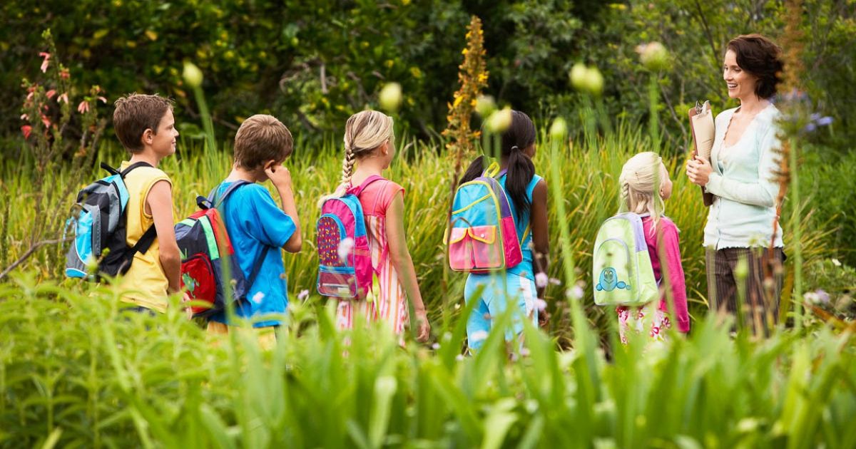 Использование знаково-символической деятельности в формировании представлений о природе у детей 6-7 лет с общим недоразвитием речи