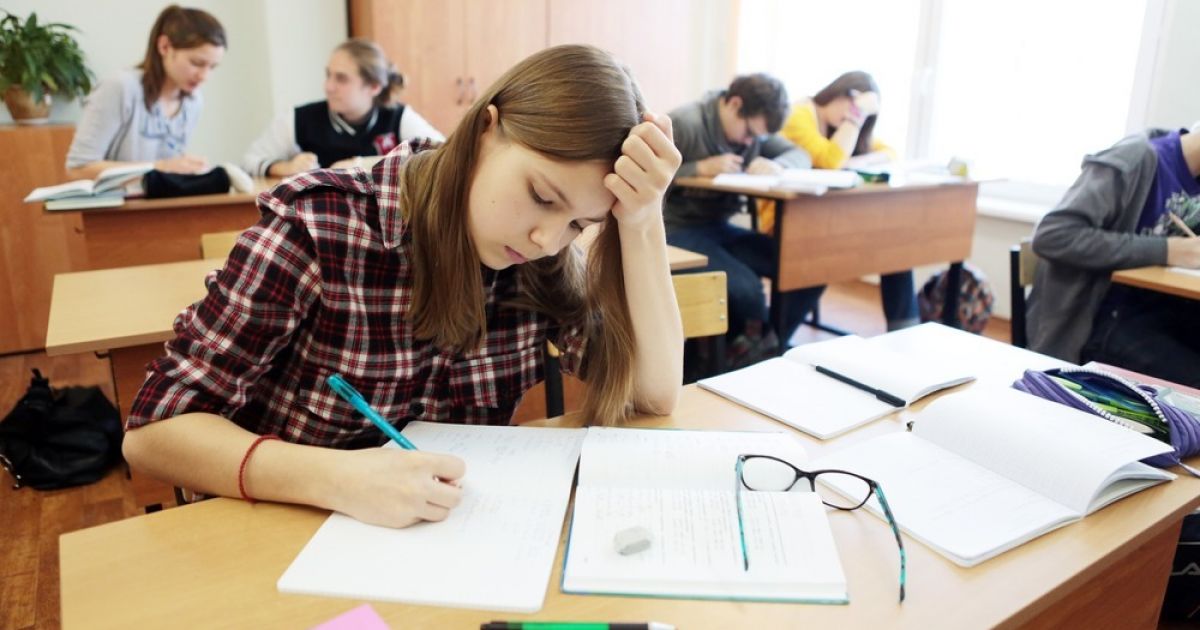 С 2025 года в проект "Образование" будут включены такие предметы, как изобразительное искусство, музыка, физическая культура, трудовое обучение