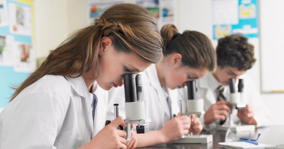 Предметная неделя химии и биологии, как средство повышения мотивации к обучению