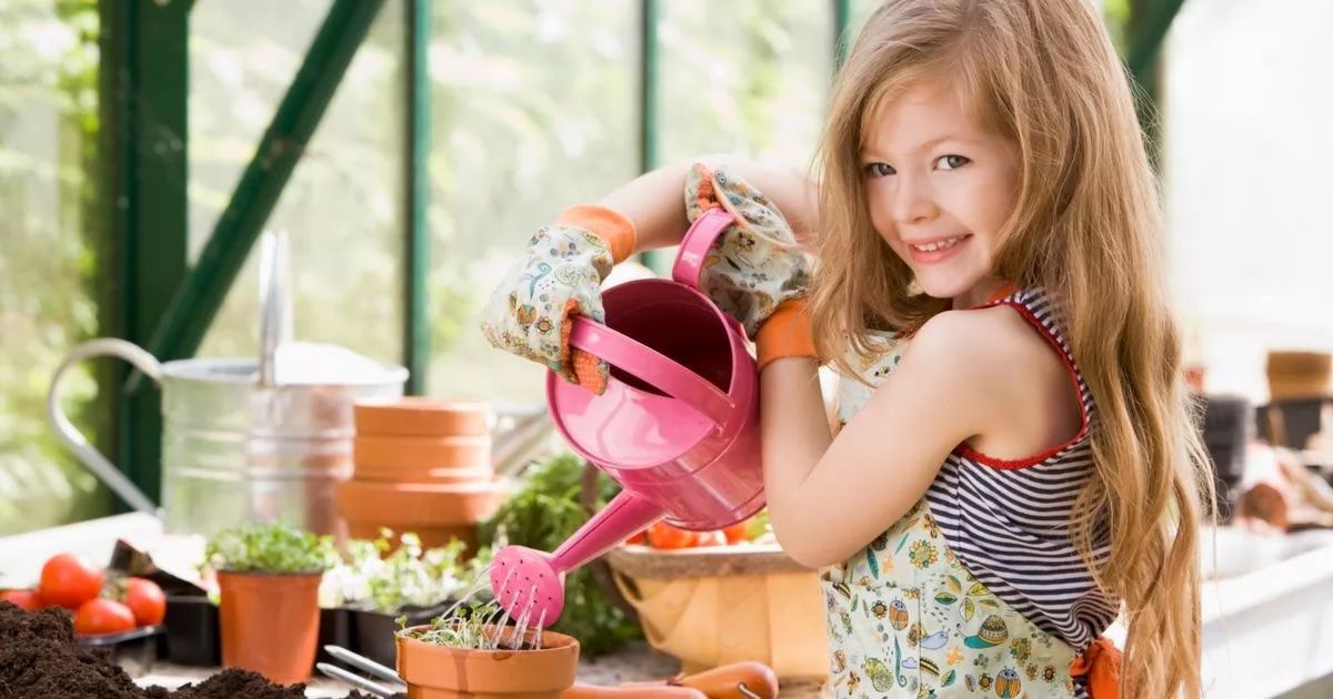 Развитие самостоятельности у дошкольников: как найти золотую середину?