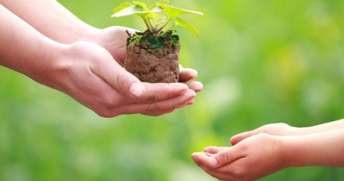 Как воспитать в детях бережное отношение к природе
