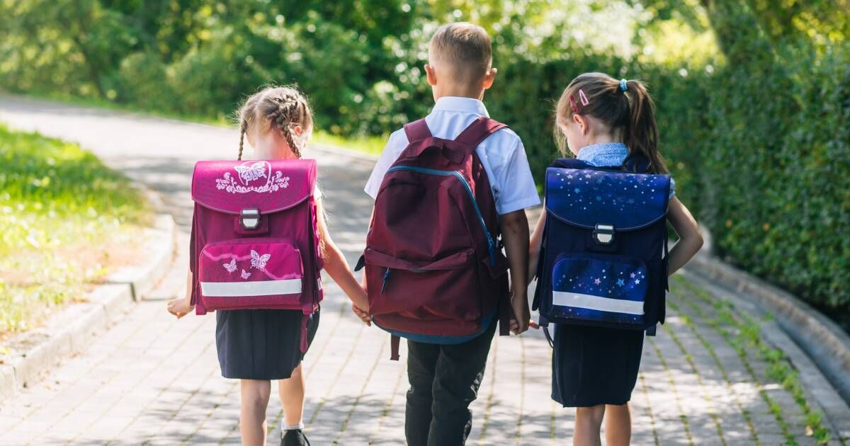 Требования для поступления в школу