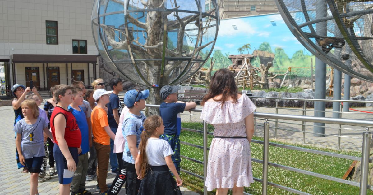 Как превратить школьную экскурсию в увлекательное, полное открытий, путешествие