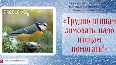 15 января - Всероссийский день зимующих птиц