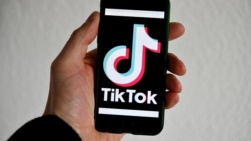 Использование видеопортала Tic-Tok как инструмента повышения мотивации обучающихся