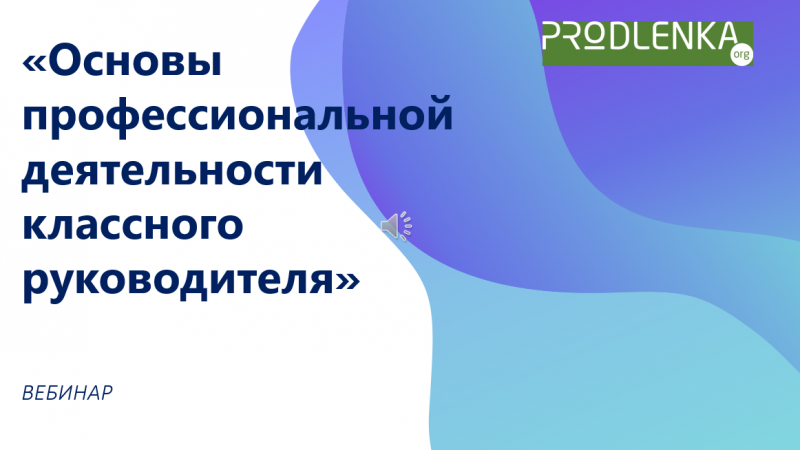 Вебинар «Основы профессиональной деятельности классного руководителя»