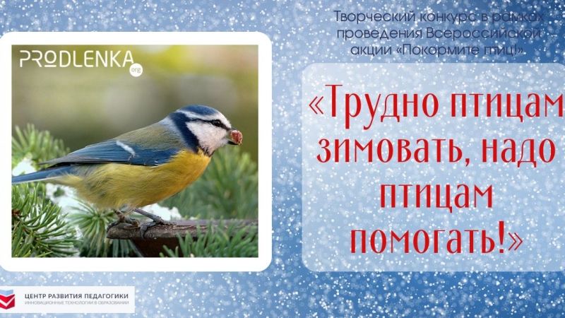 15 января - Всероссийский день зимующих птиц