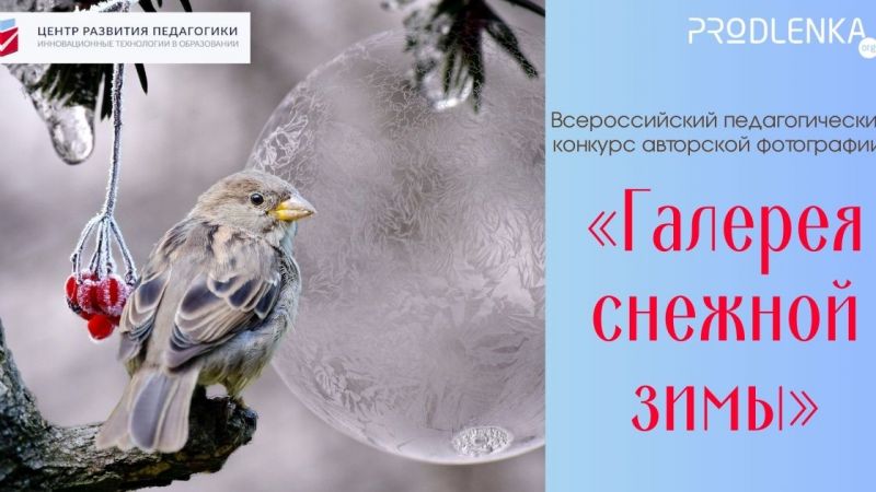 Конкурсы авторской фотографии - зима 2023-2024