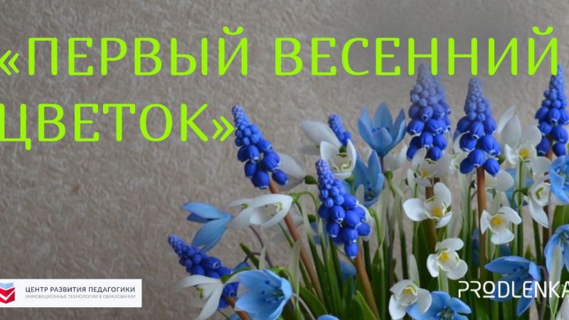 Дорогие друзья, поздравляем вас с первым днём весны!