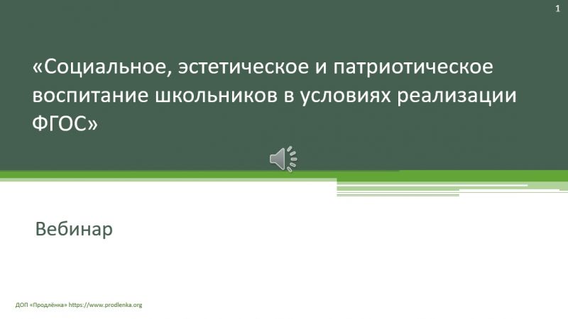 Вебинар «Социальное, эстетическое и патриотическое воспитание школьников в условиях реализации ФГОС»
