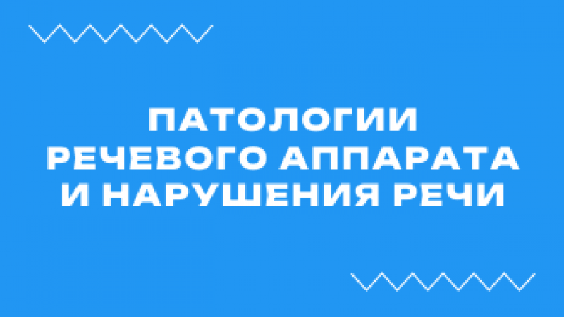 Вебинар «Патологии речевого аппарата и нарушения речи»