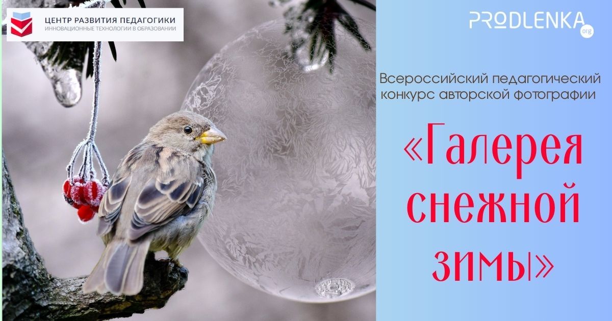 Всероссийский педагогический конкурс авторской фотографии «Галерея снежной зимы»