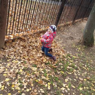 "Осенний ковёр."