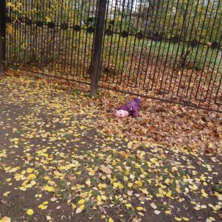 "Постель из листьев."