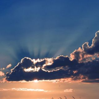 В солнечных лучах заката