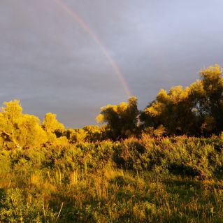 Тёплая осень