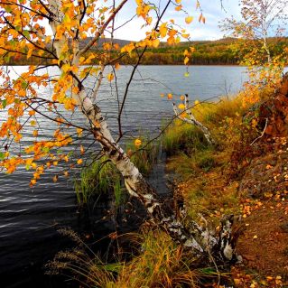 Авторская фотография