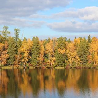 Краски северной осени