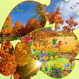 Демонстрационный материал : коллаж "Признаки осени"