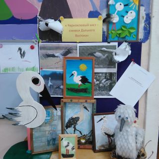 Экологический уголок "Черноклювый аист - символ Дальнего востока"