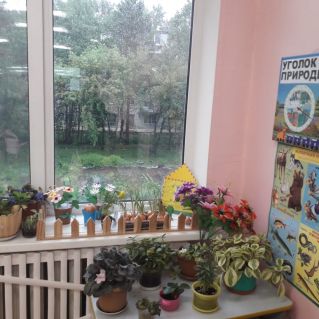 Уголок природы