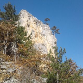 "Скала осенью"