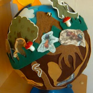 Макет "Жители почвы"