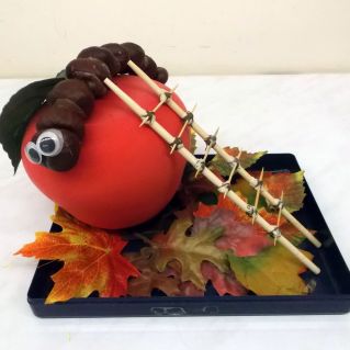 "Подарок осени"