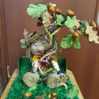 Лесовичок на опушке