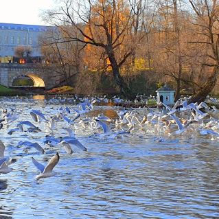 Осень в г.Гатчине