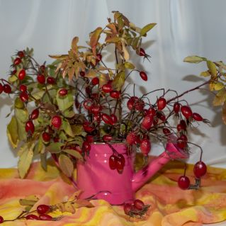 Осенний этюд