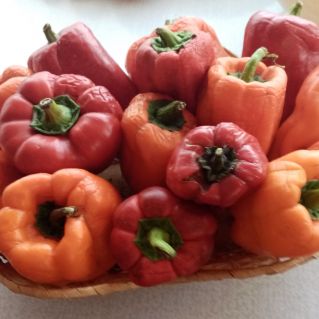 Осенний букет