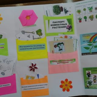 Лэпбук "Комнатные растения"