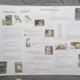 плакат "помогите птицам перезимовать!"