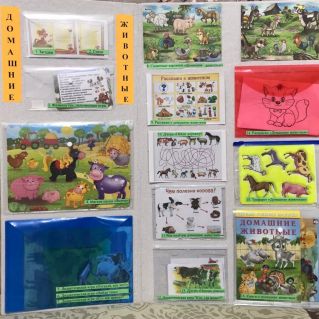 Лэпбук "Домашние животные"