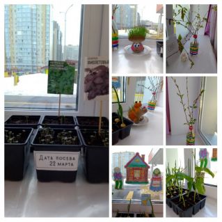 Огород на подоконнике