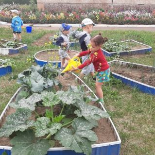 Маленькие помощники