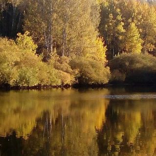 Осенние Краски.