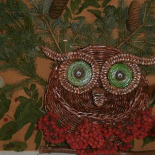 "Красота из осеннего леса"