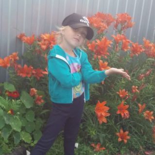 " Мои Лилии в саду"